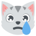:crying_cat_face: