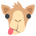 :dromedary_camel: :dromedary_camel: