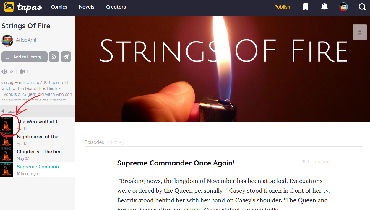 New Novel Creator Needs Help Understanding Site Jargon Questions