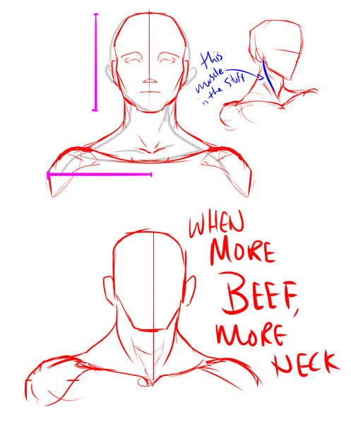 How to Draw the Neck, a Step-by-Step Guide – GVAAT'S WORKSHOP