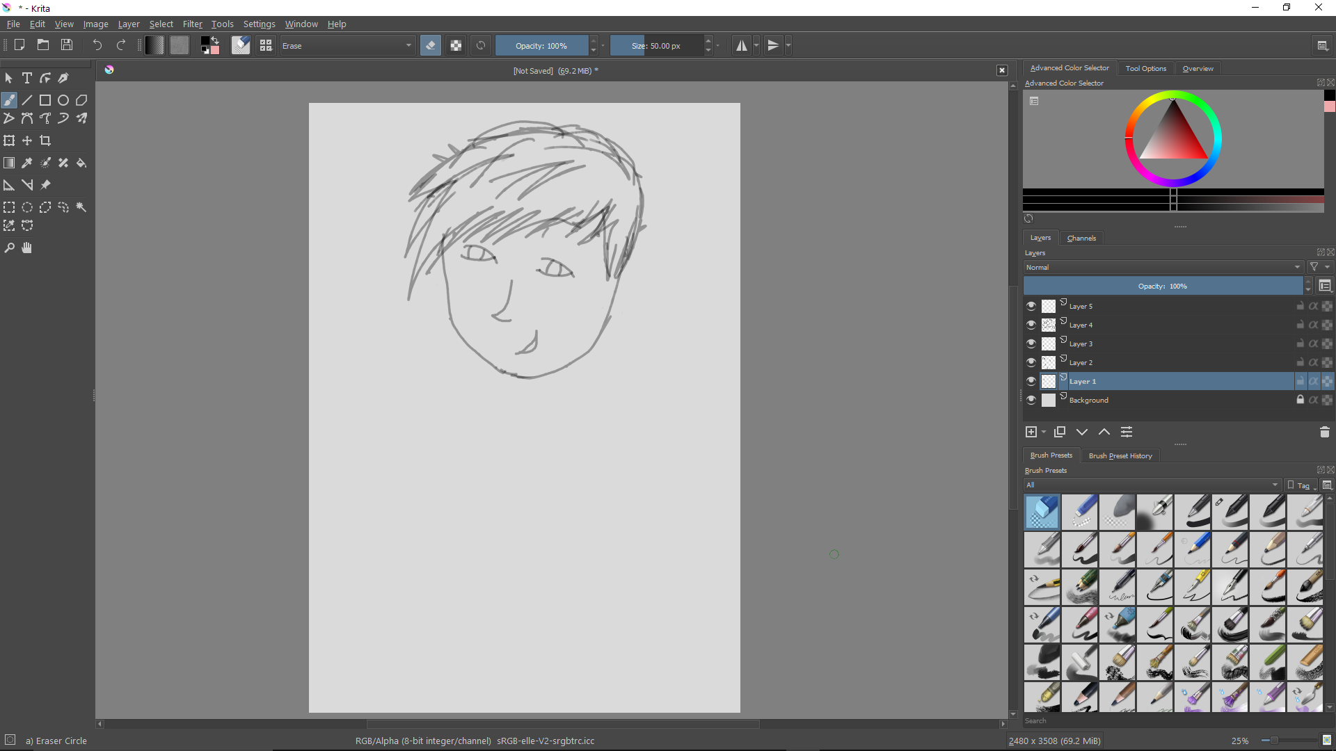 krita lag